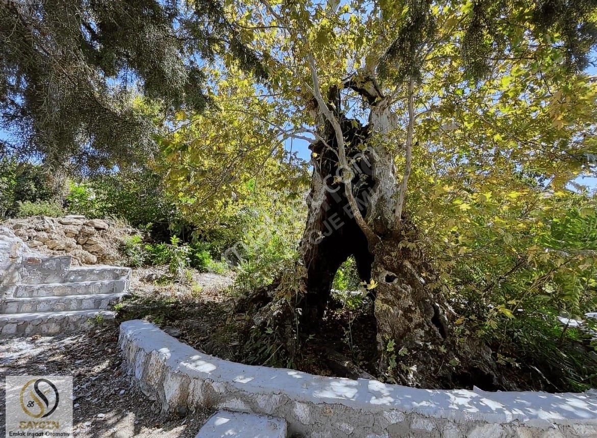 Konut İmarlı, 1 Dönüm Arsa. Bu Fiyata Bu Metrekare Bulunmaz…