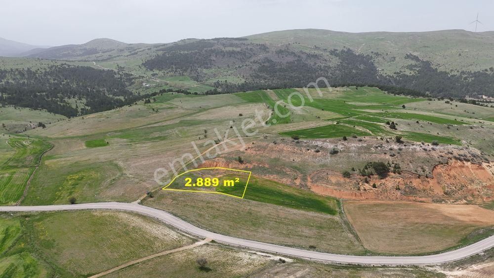 Konya / Ilgın / Gökçeyurt-özlem Mahallesinde 2.889 M² Müstakil Tapulu Tarla