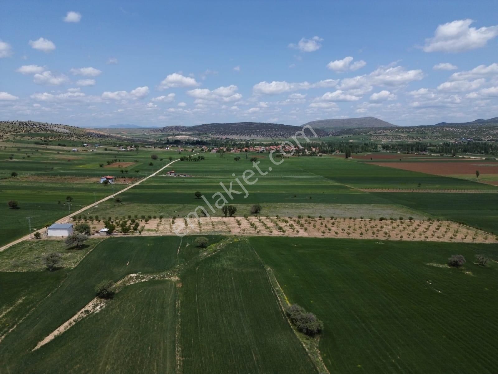 Beyşehir Bekdemir Mahallesinde Satılık Ceviz Meyve Bahçesi Suyu Mevcut - Görsel 12