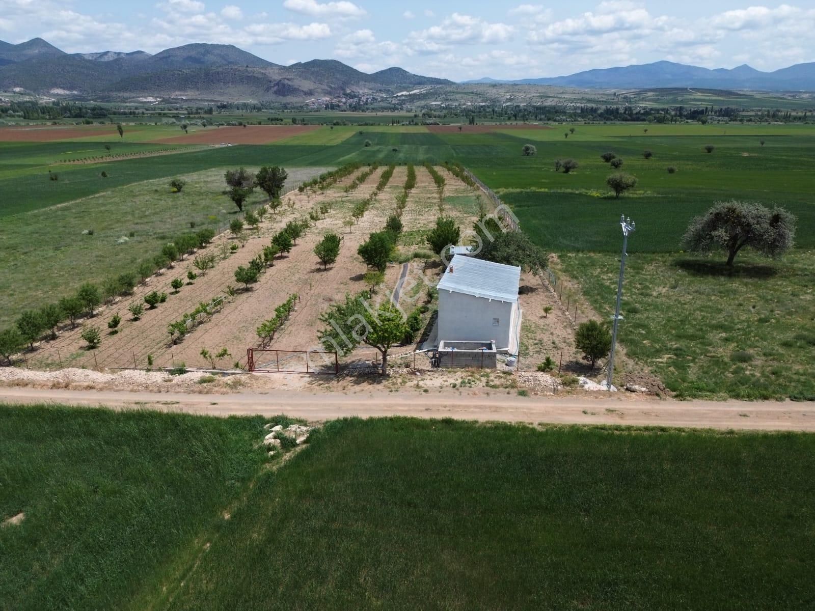 Beyşehir Bekdemir Mahallesinde Satılık Ceviz Meyve Bahçesi Suyu Mevcut - Görsel 11