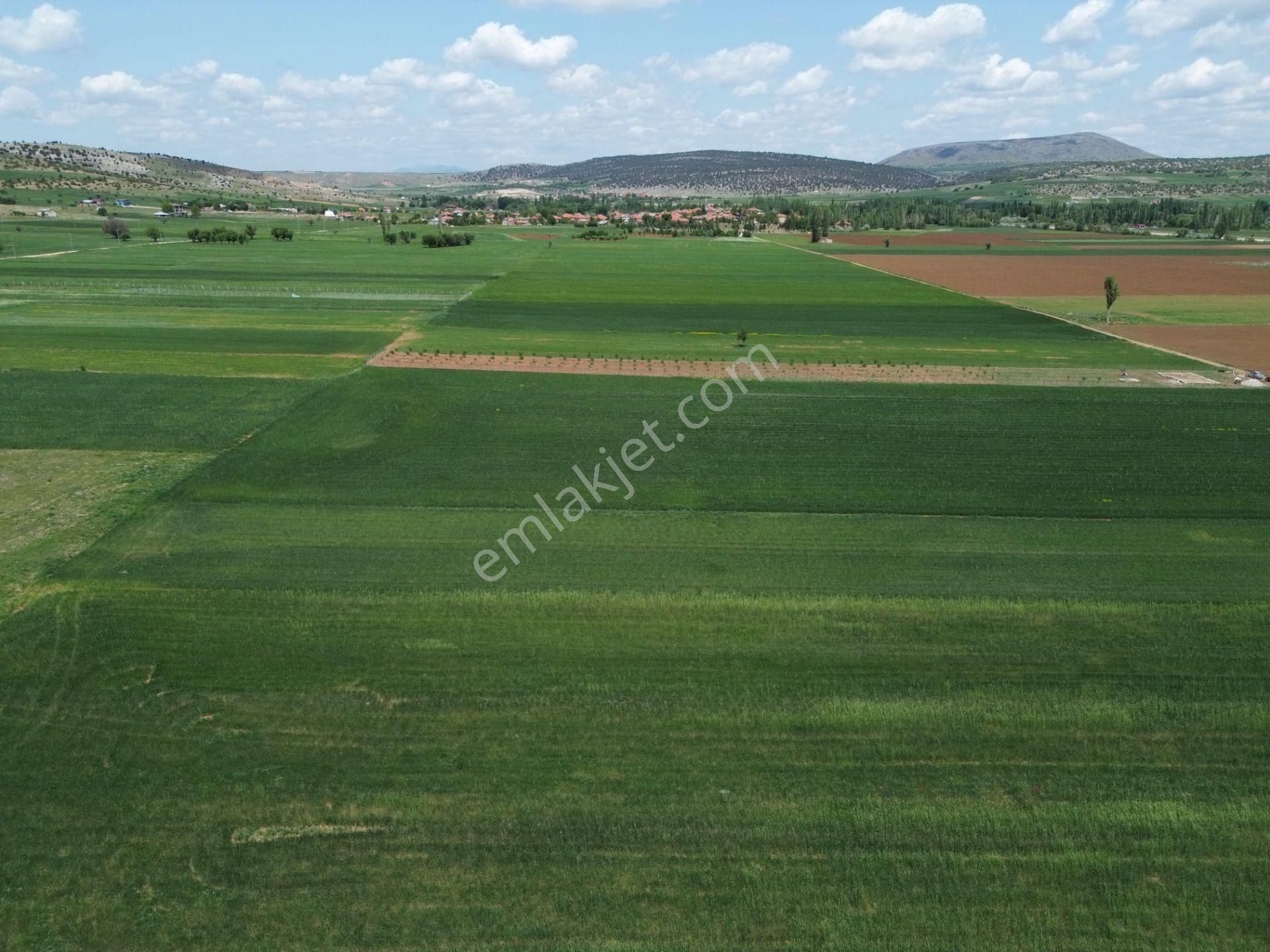 Beyşehir Bekdemir Mahallesinde Satılık Ceviz Meyve Bahçesi Suyu Mevcut - Görsel 6