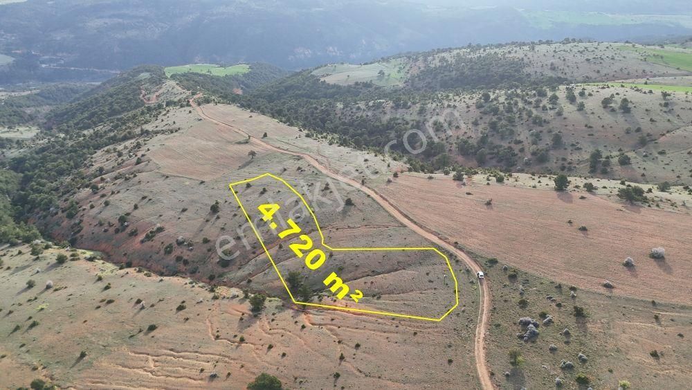 Konya / Ilgın / Aşağıçiğil-aşağı Mahallesinde 4.720 M² Müstakil Tapulu Tarla