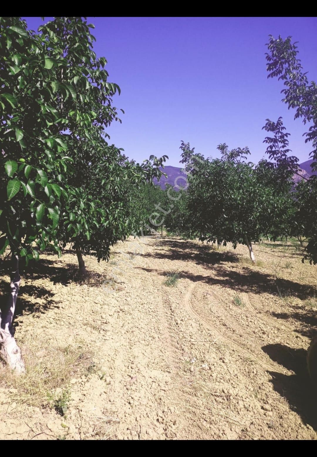 Fark20'den Cankurtaran/karataş'ta Satılık 5.800 M2 Arazi