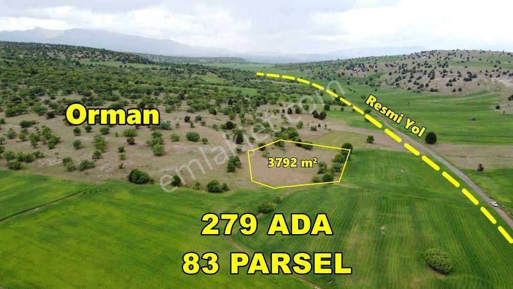 Konya / Meram / Kilistra Ormana Cephe 3.792 M² Müstakil Tapu Tarla
