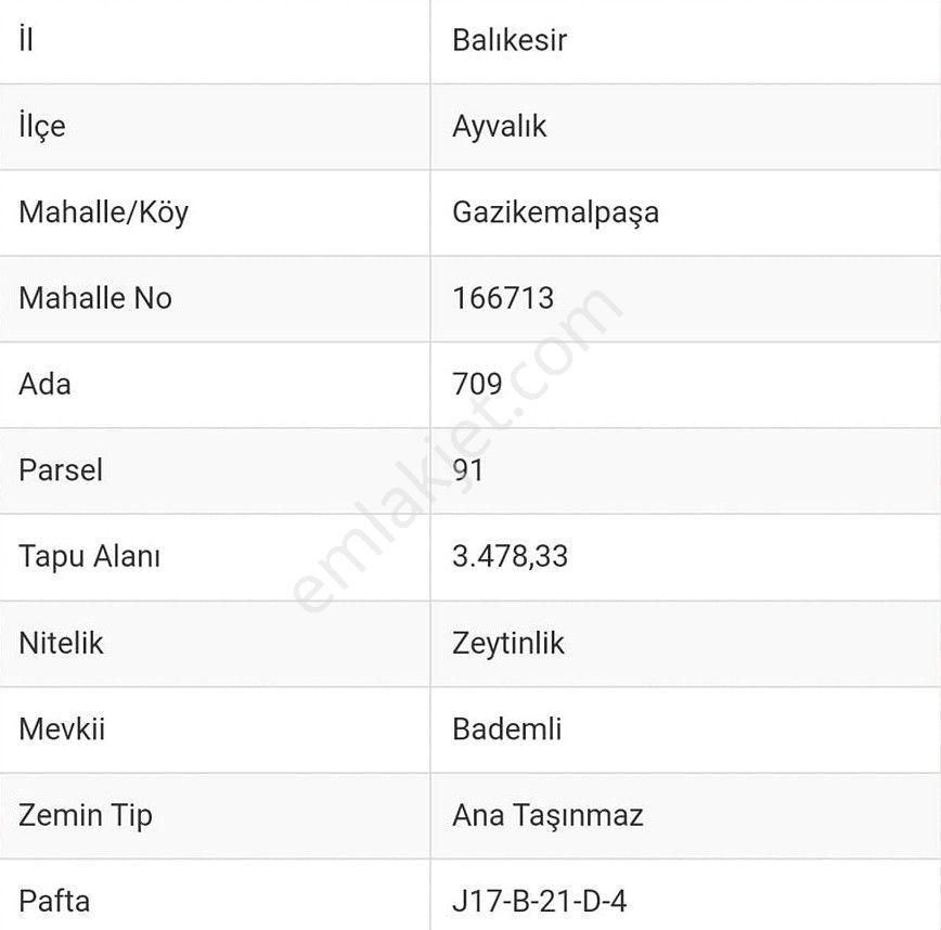 Can Emlak’tan | Ayvalık Gazikemalpaşa Mahallesi’nde 10.300 M² Satılık Zeytinlik!