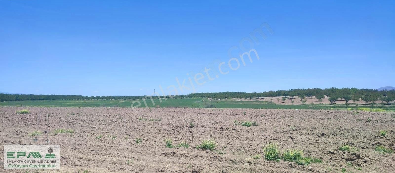 Epa Özyaşam Gayrimenkulden Yazıhan Sinanlıda Acil Satılık Tarla