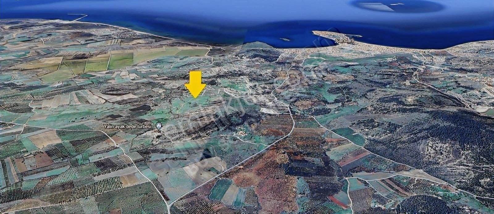 İzmir Dikili Çandarlı 'da İmara Bitişik Parsel 64 Dönüm Arazi