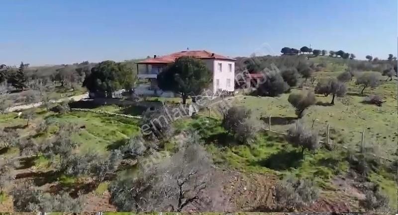 İzmir Foça Yeniköy'de 21 Dönüm, İçinde Çiftlik Evi Bulunan Arazi
