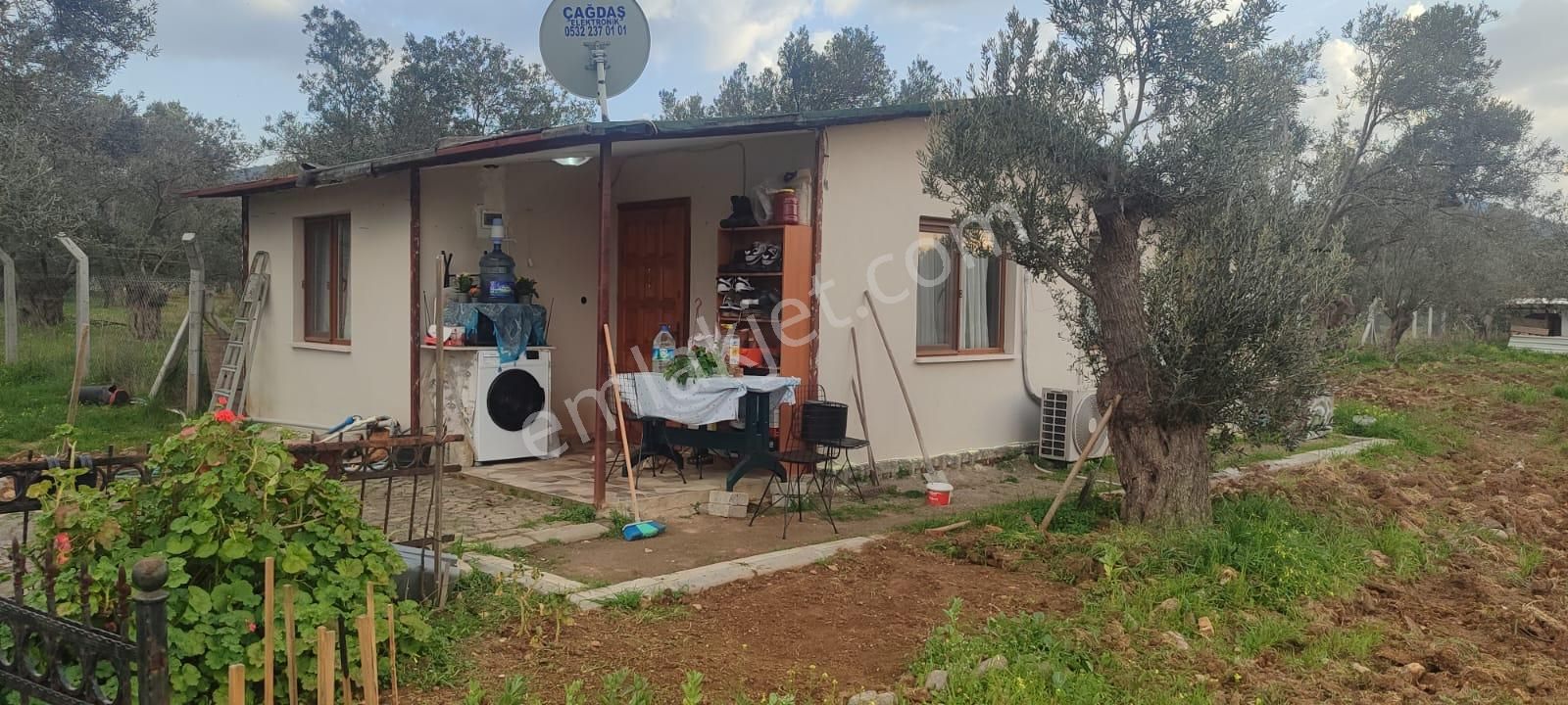 Doğayla İç İçe, Cunda Adası’nda Bakımlı Ve Verimli Zeytinlik Satılık - Görsel 13