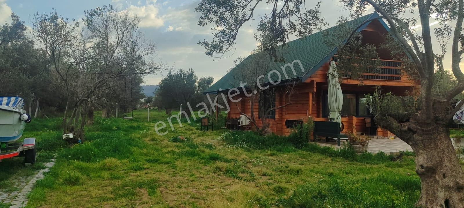 Doğayla İç İçe, Cunda Adası’nda Bakımlı Ve Verimli Zeytinlik Satılık - Görsel 10