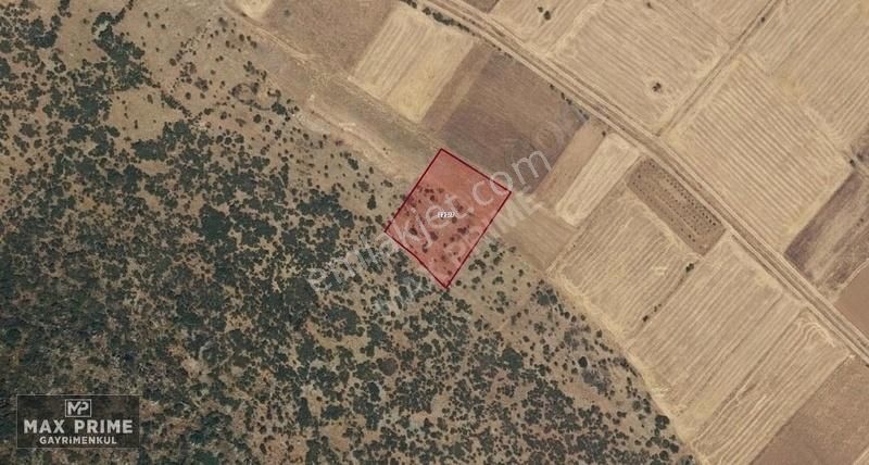 Max Prıme | Tavas Garipköy'de 5.863 M² Yatırımlık Fırsat Tarla - Görsel 2