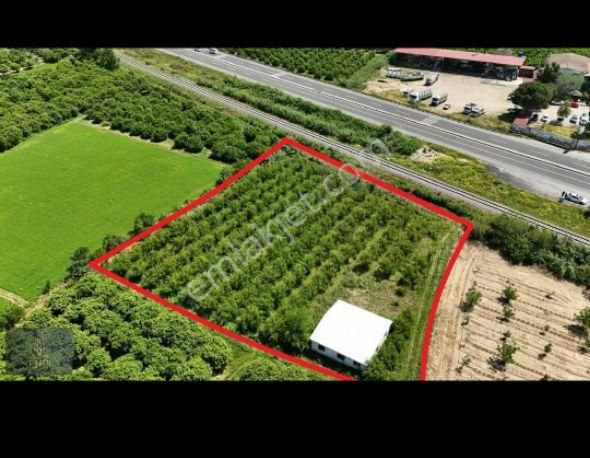 **şehir'den** Durasıllı Yol Kenari 3.500 M2 Ev Bulunan Nar Bahcesi