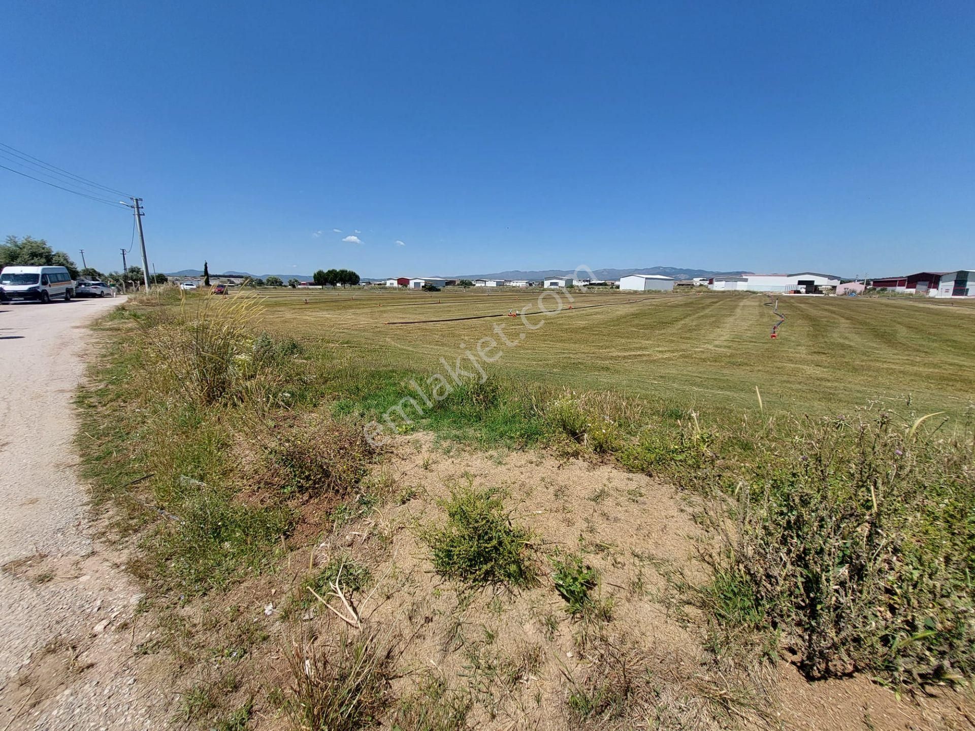 Arga'dan Kısıkköy Sanayi Arkası 19722m2 Satılık Tarla. - Görsel 4