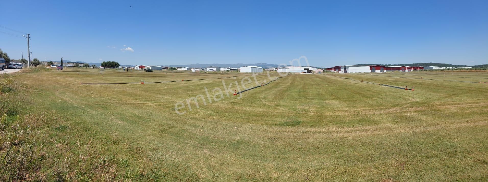 Arga'dan Kısıkköy Sanayi Arkası 19722m2 Satılık Tarla.