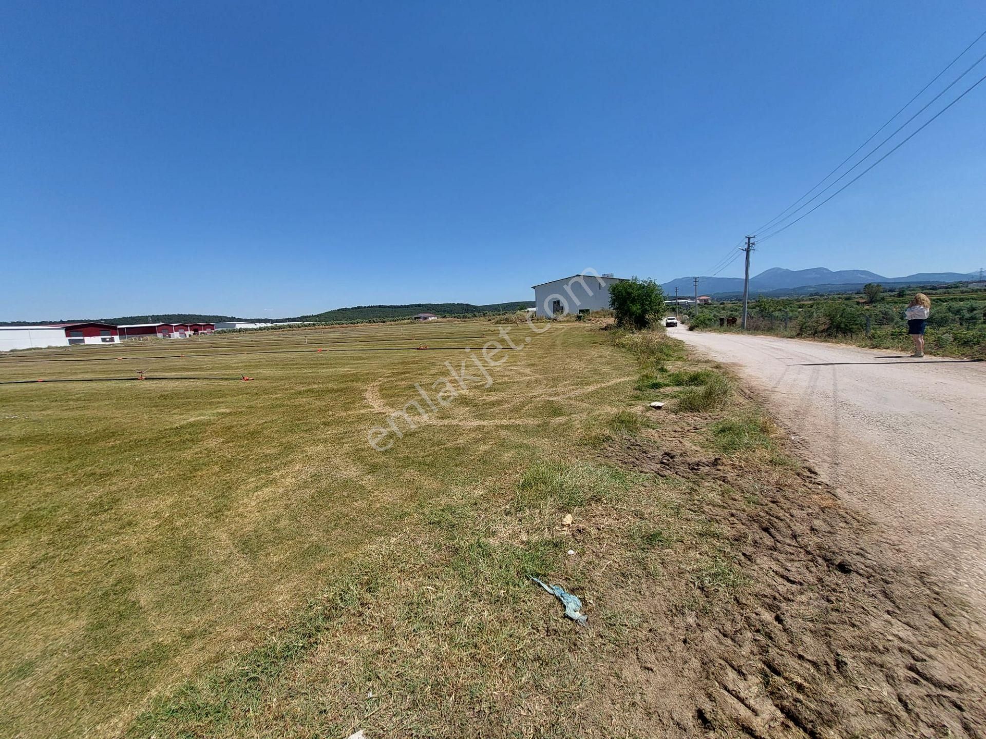 Arga'dan Kısıkköy Sanayi Arkası 19722m2 Satılık Tarla. - Görsel 9