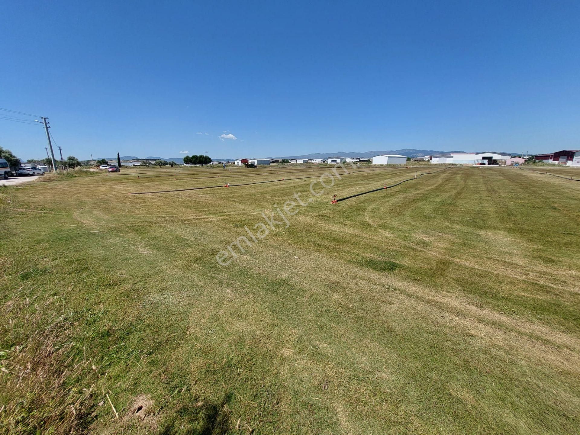 Arga'dan Kısıkköy Sanayi Arkası 19722m2 Satılık Tarla. - Görsel 10