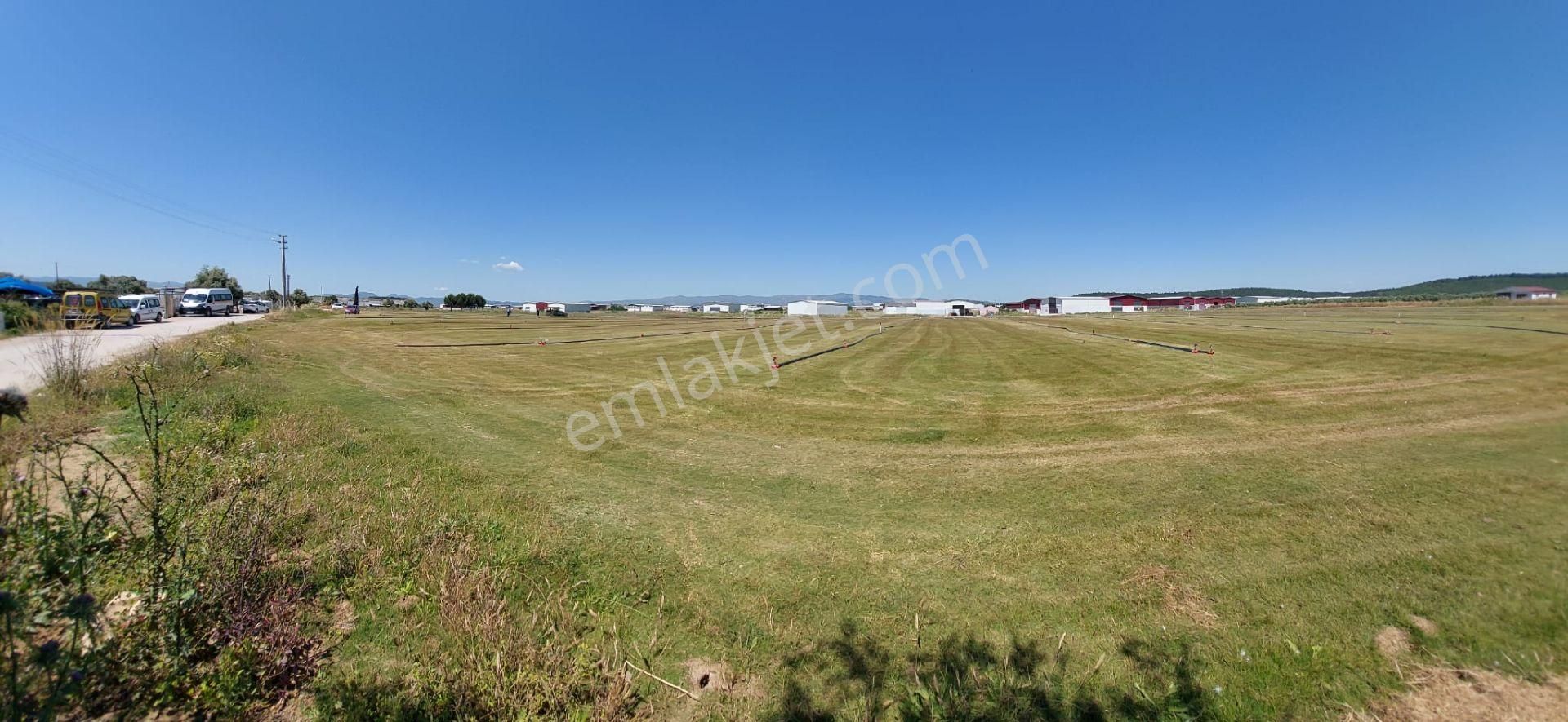 Arga'dan Kısıkköy Sanayi Arkası 19722m2 Satılık Tarla. - Görsel 7