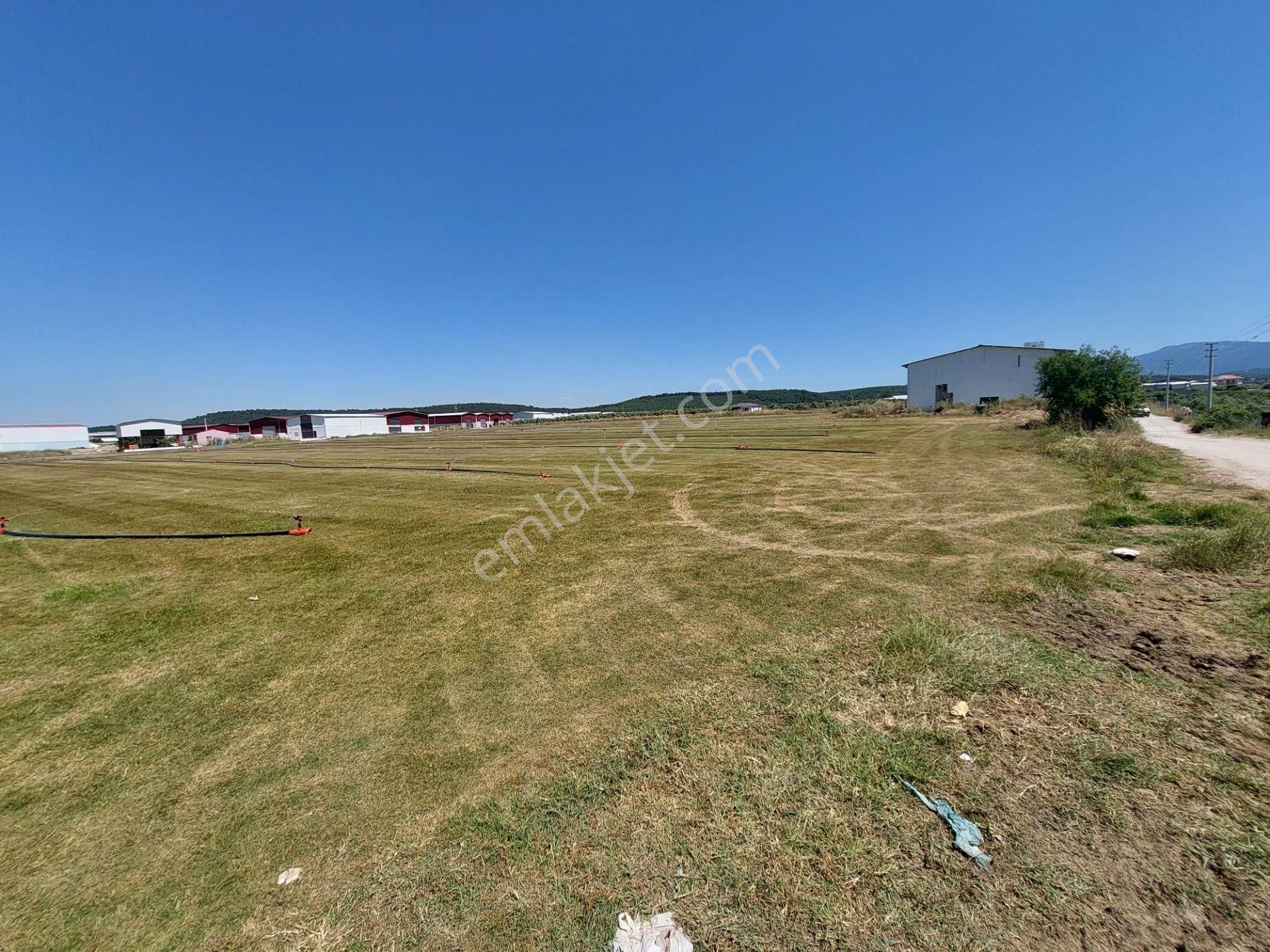 Arga'dan Kısıkköy Sanayi Arkası 19722m2 Satılık Tarla. - Görsel 8