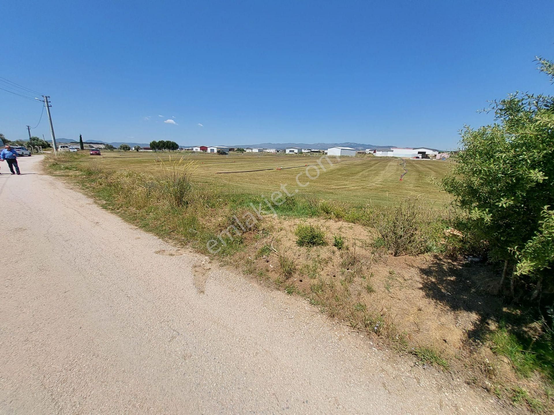 Arga'dan Kısıkköy Sanayi Arkası 19722m2 Satılık Tarla. - Görsel 3