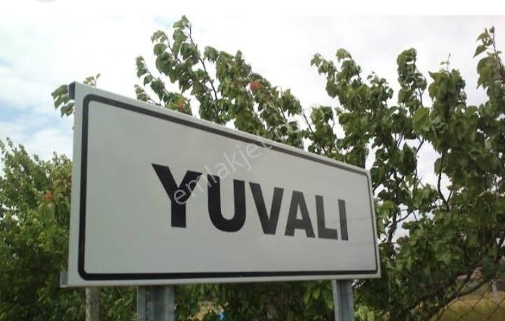 Tekirdağ Saray Yuvalı Köyü Bağ-bahçe Yerimiz Tek Tapu Müstakil Yolu Olan 2300 M2