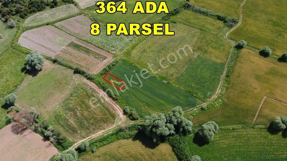 Konya / Beyşehir / Yenidoğan-derebağ 267 M² Tarla-bahçe