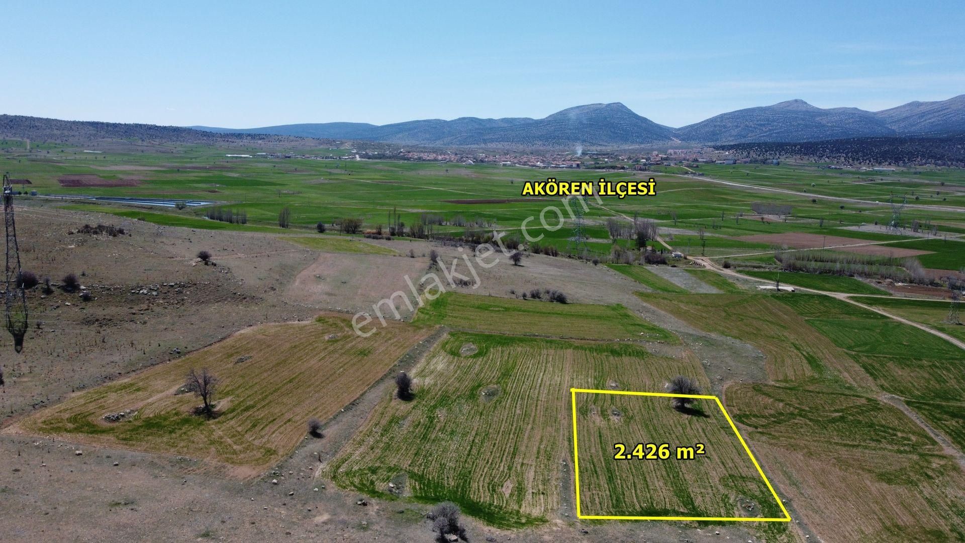 Konya / Akören / Orhaniye Mahallesinde 2.426 M² Müstakil Tapulu Tarla