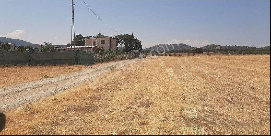 Rw Nefes Gayrimenkul'den Burhaniye Şahinler Köyünde Satılık Tarla