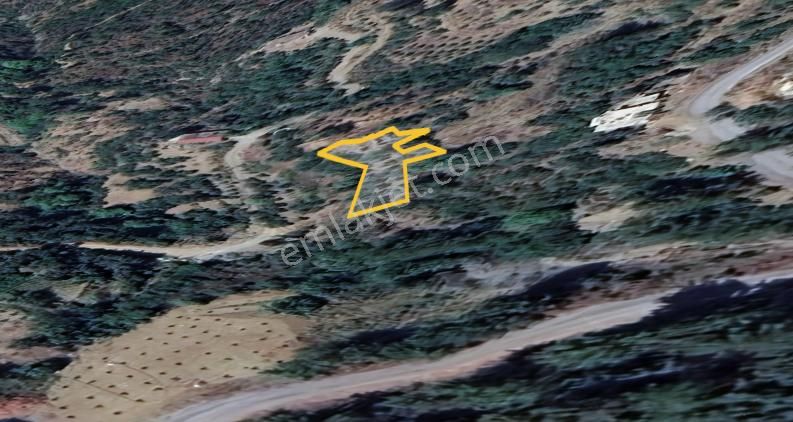 Göçük Köyü Yerleşım Yerı Içınde Tarla