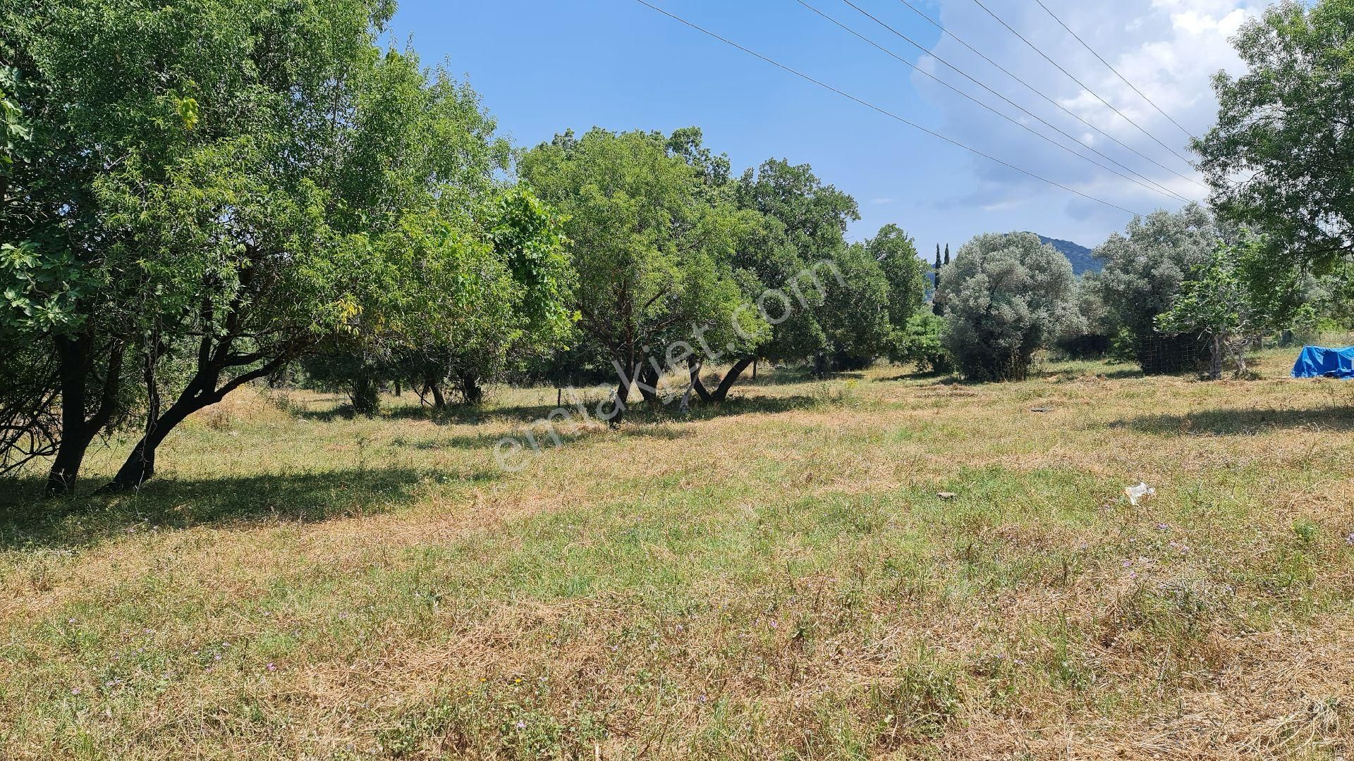 İslamhaneleri'nde Anayola Yakın İmarlı Arsa