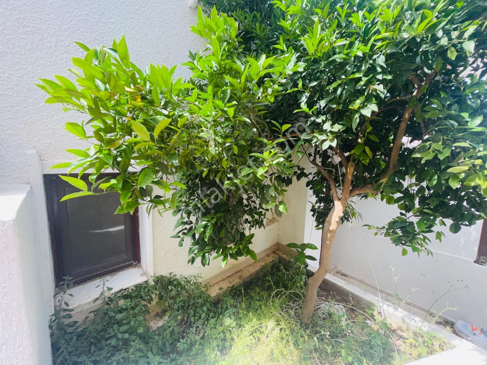 *saygın* Akyarlar' Da Harika Deniz Manzaralı 2 Girişli Dubleks Daire - Görsel 5