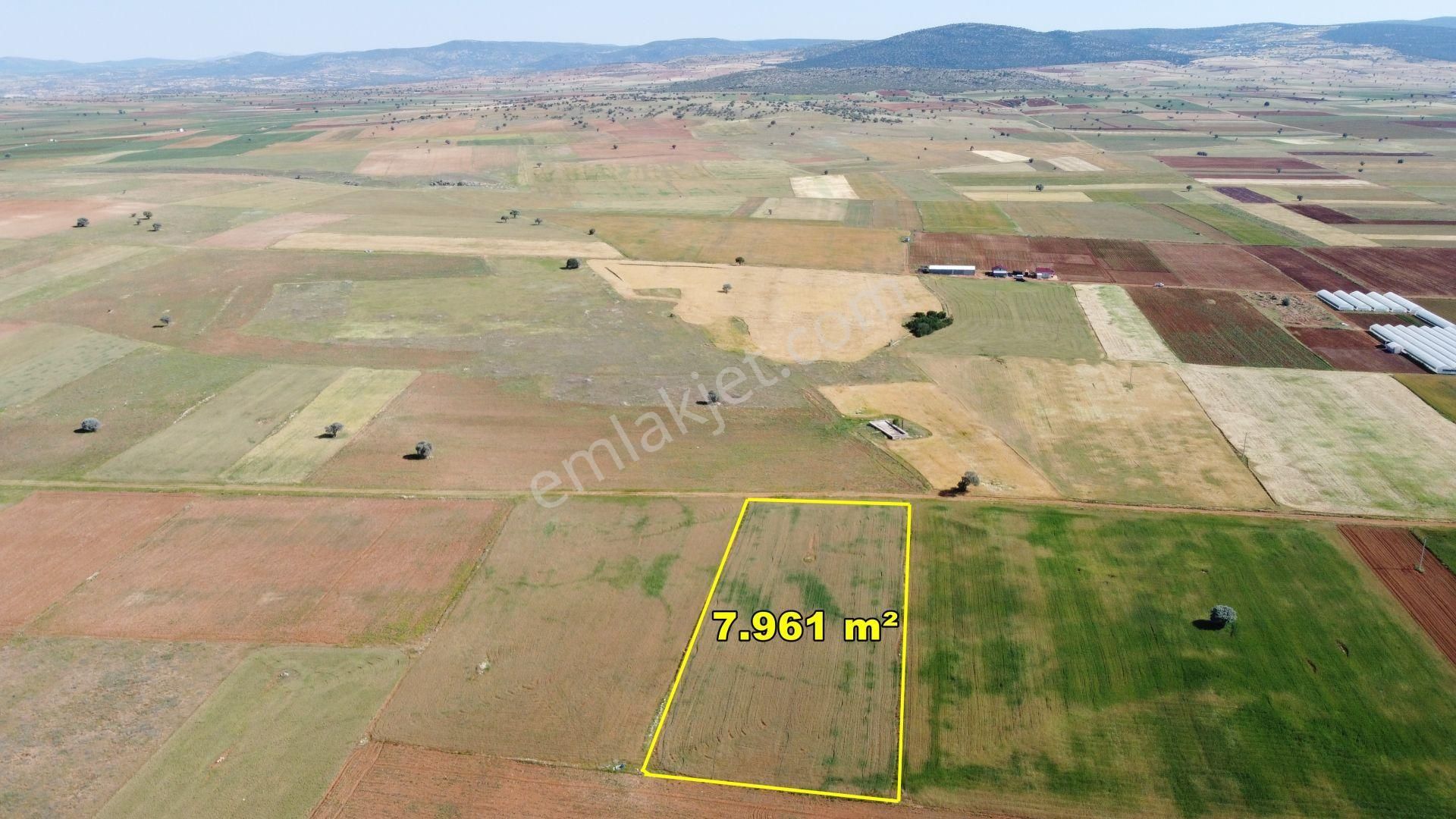 Konya / Akören / Hacılar'da 7.961 M² Müstakil Sulak Verimli Arazi