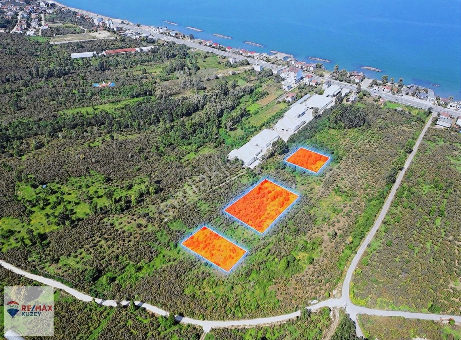 Fatsa Bolaman Yenipazar 3 Kat İmarlı Satılık Arsa