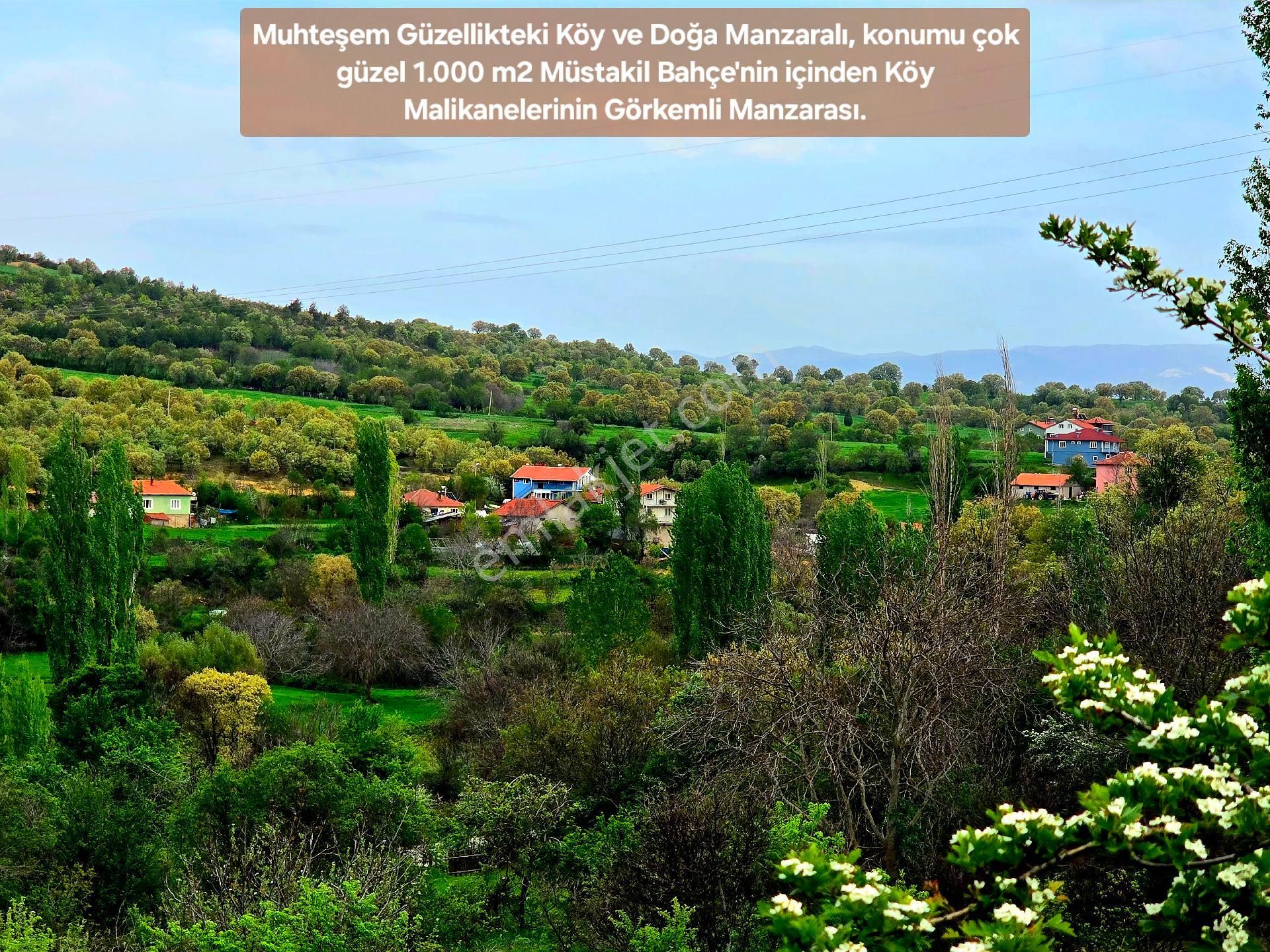 Uşak Banaz Kızılhisar'da Köy Ve Doğa Manzaralı 1.000 M2 Harika Bahçe. Açıklamayı Okuyunuz