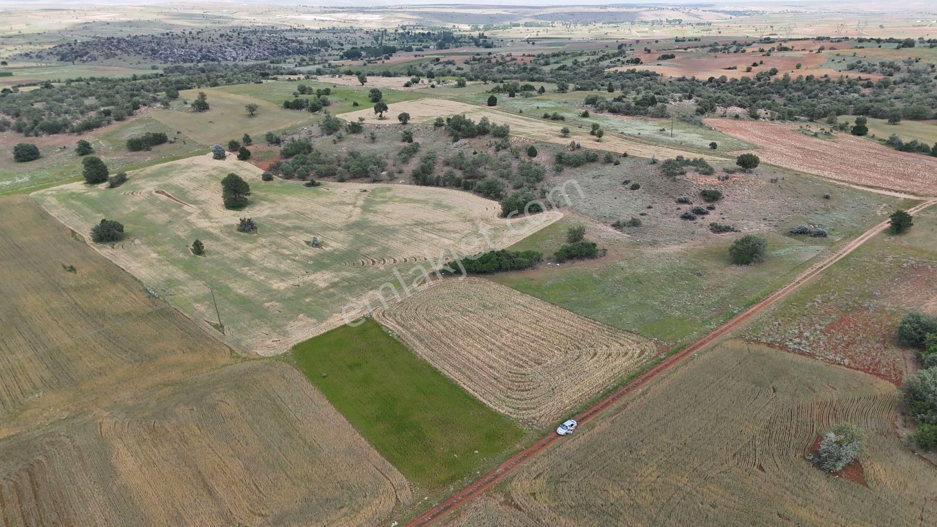 Konya / Akören / Tülce'de 2.774 M² Müstakil Tapu Tarım Arazisi