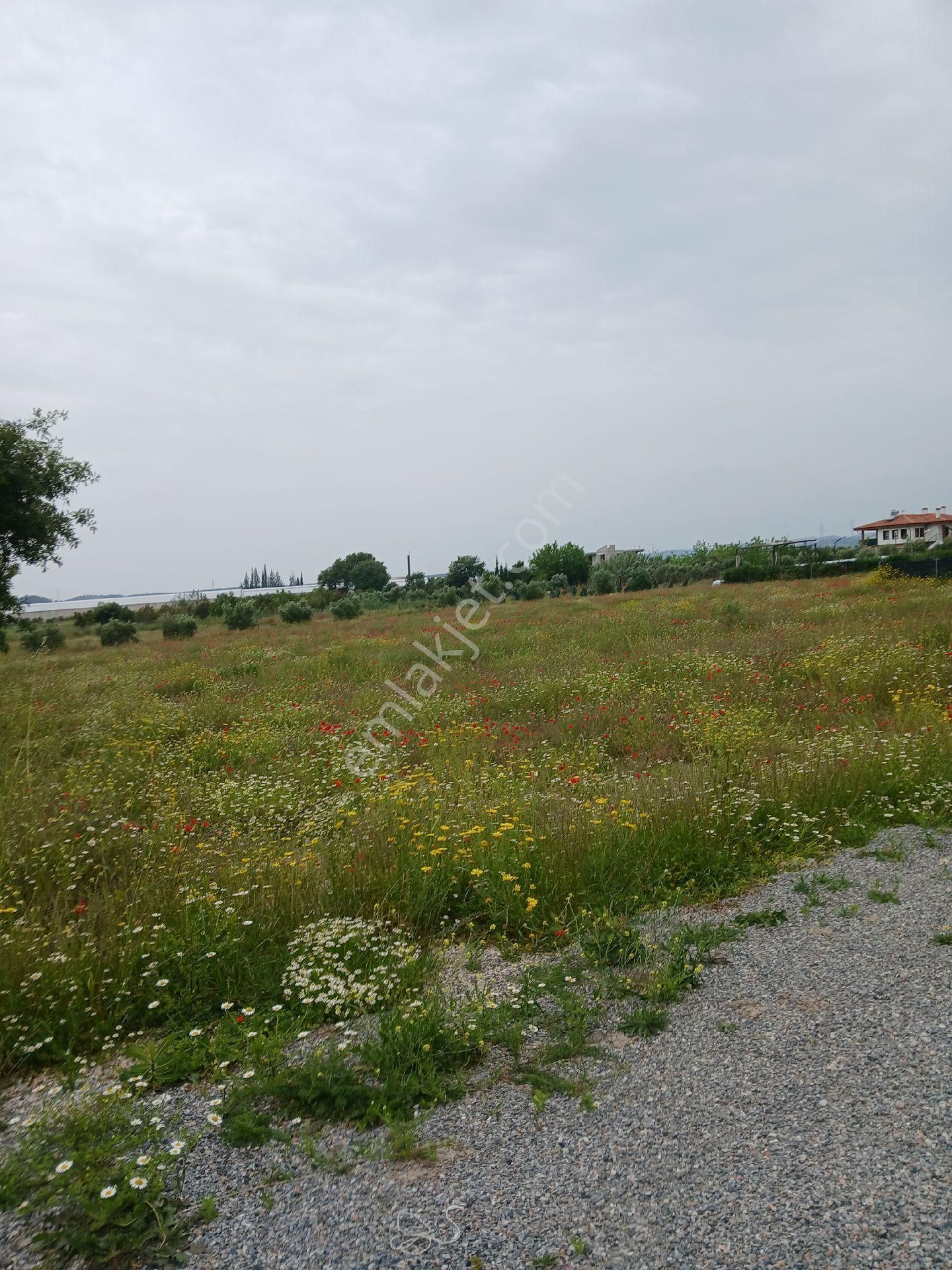 Tektapu Mustakil Dd400e 5 Km.hobi Bahçesi