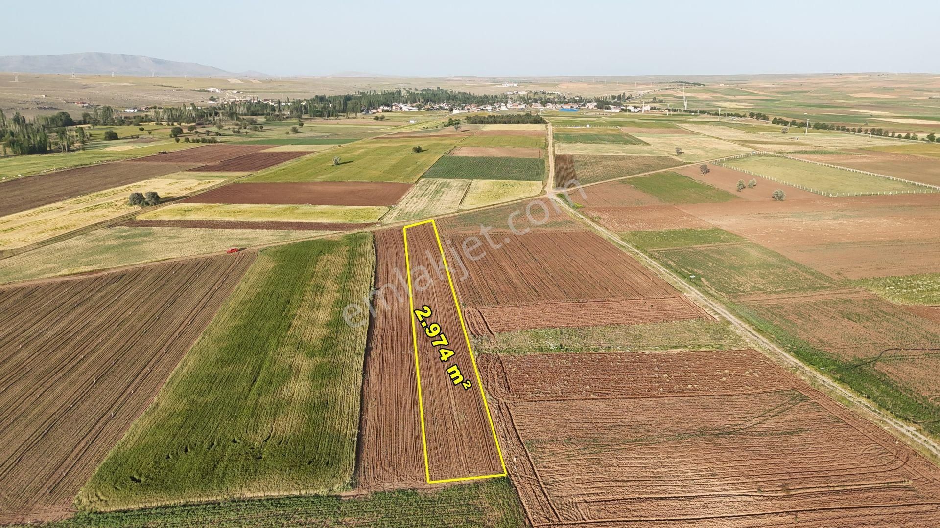 Konya / Akören / Tülce'de 2.974 M² Müstakil Tapu Tarla