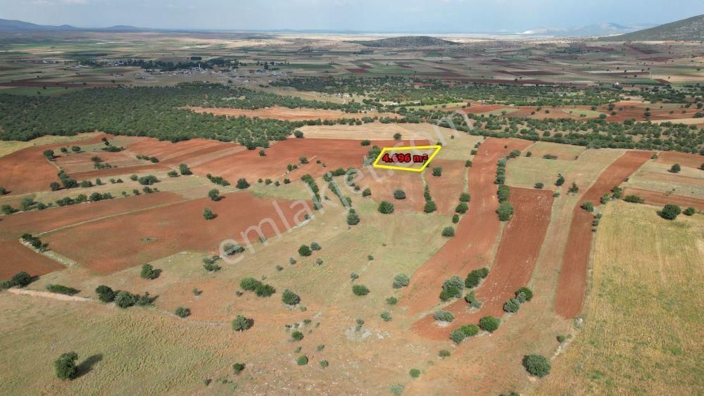 Konya / Akören / Karahüyük 4.696 M² Tek Tapu Müstakil Hesaplı Tarla