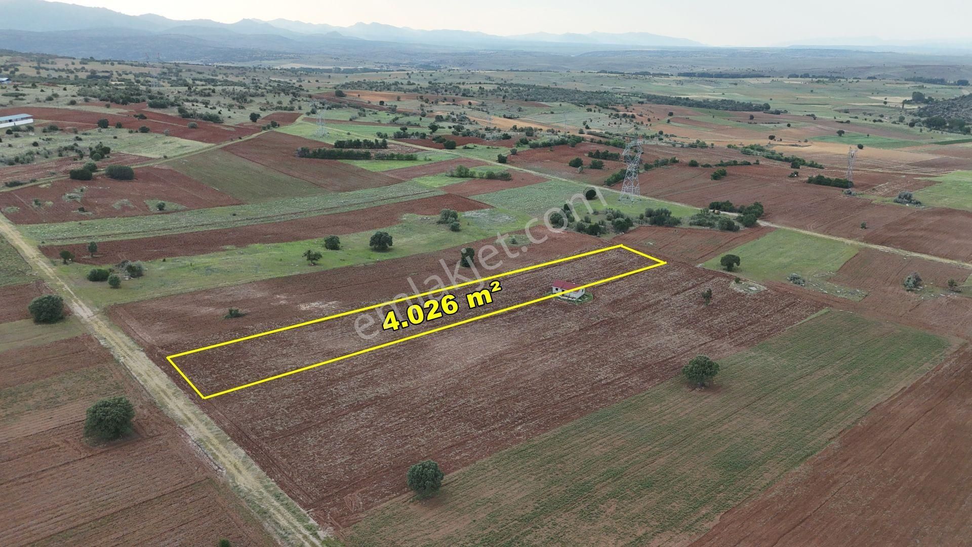 Konya / Akören / Tülce'de 4026 M² Müstakil Tapulu Tarla