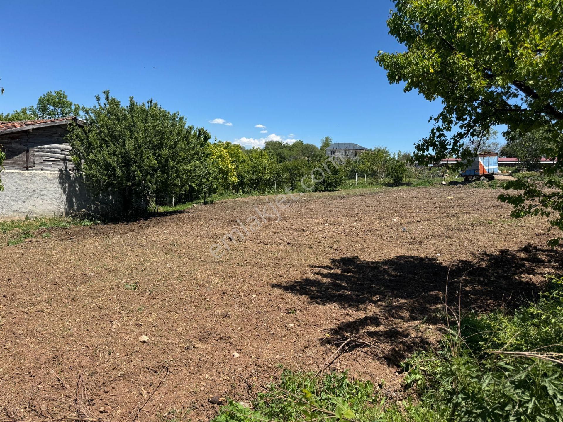 Yankıdan Tokatın Pazar Ekilet Yolunda Satılık 1512m2 İmarlı Arsa