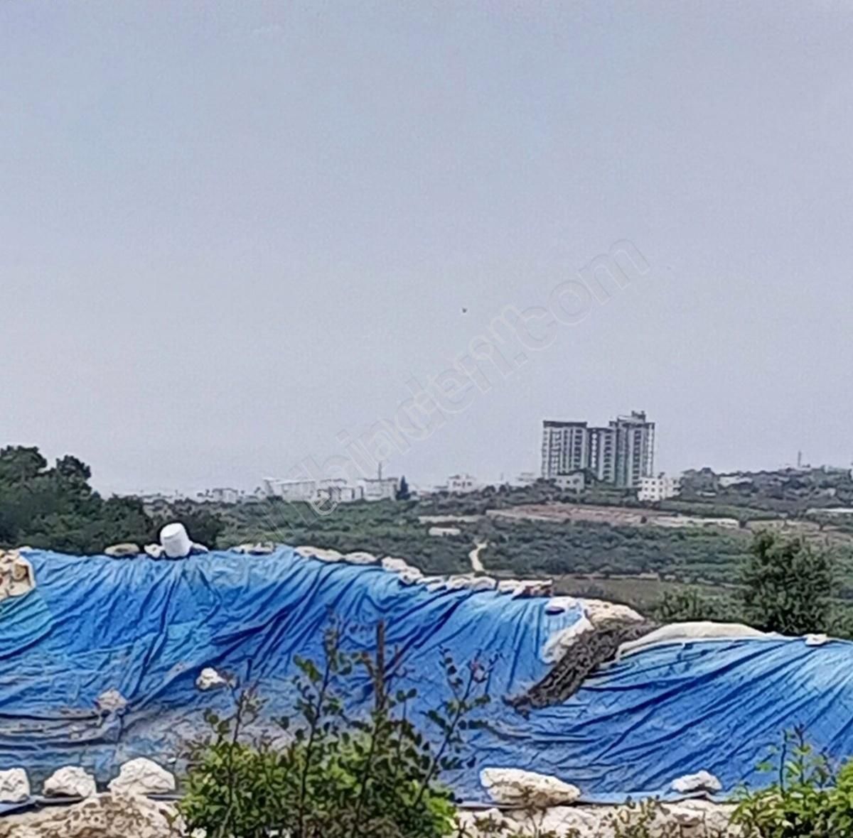 Erdemli Kumkuyu Tırtarda Satılık Deniz Manzaralı Tarla - Görsel 2