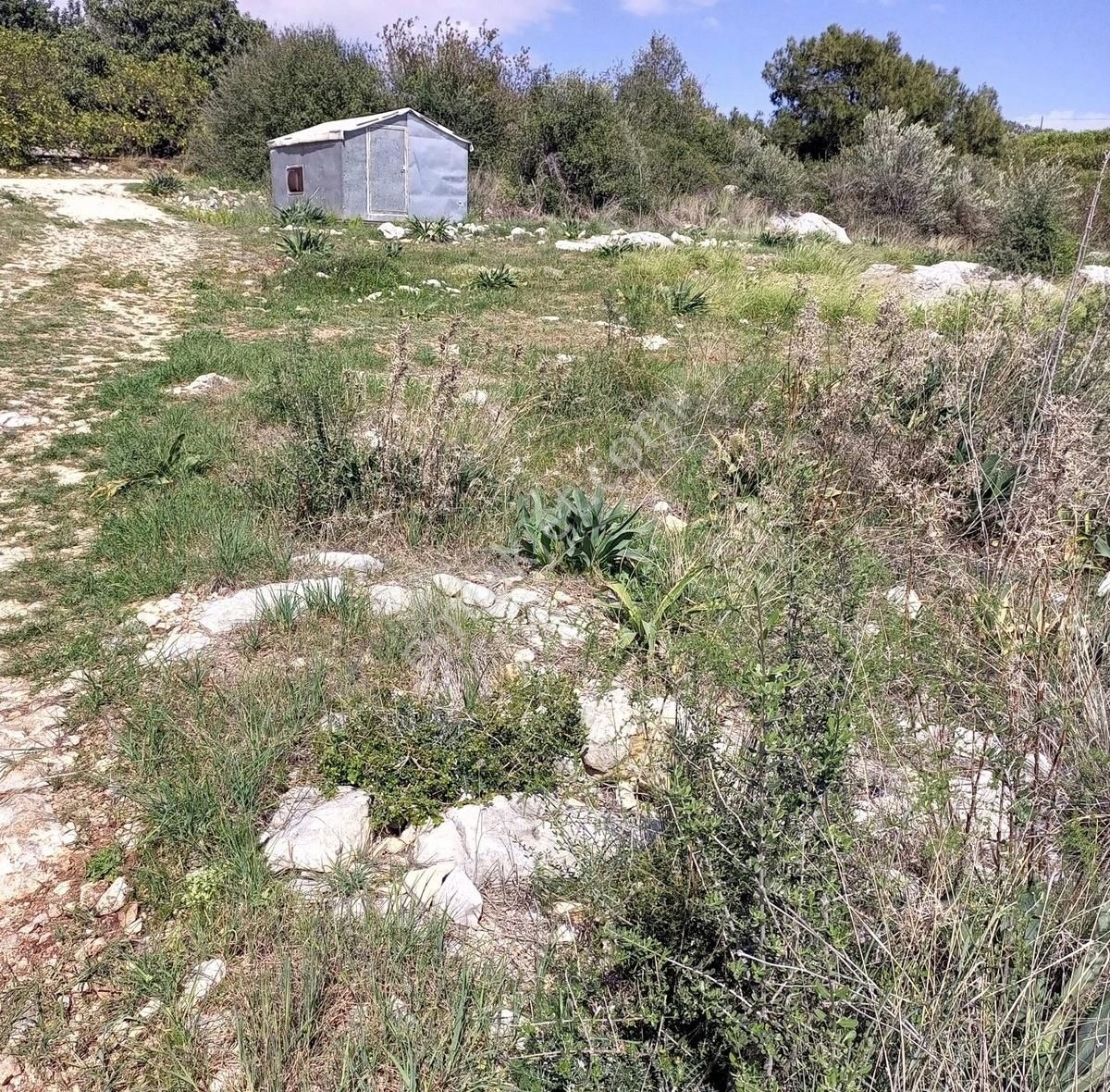 Erdemli Tırtarda Satılık Deniz Manzaralı Tarla - Görsel 27