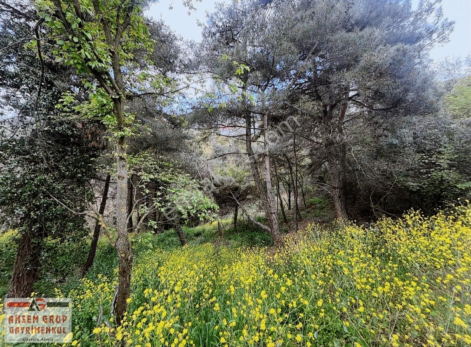 Bağlarbaşında İçerisinde Bungalov Bulunan Satılık Tarla