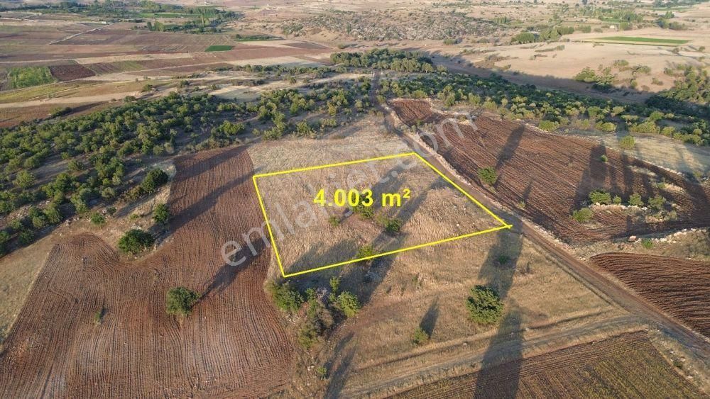 Konya / Akören / Tülce 4.003 M² Müstakil Tapulu Tarla
