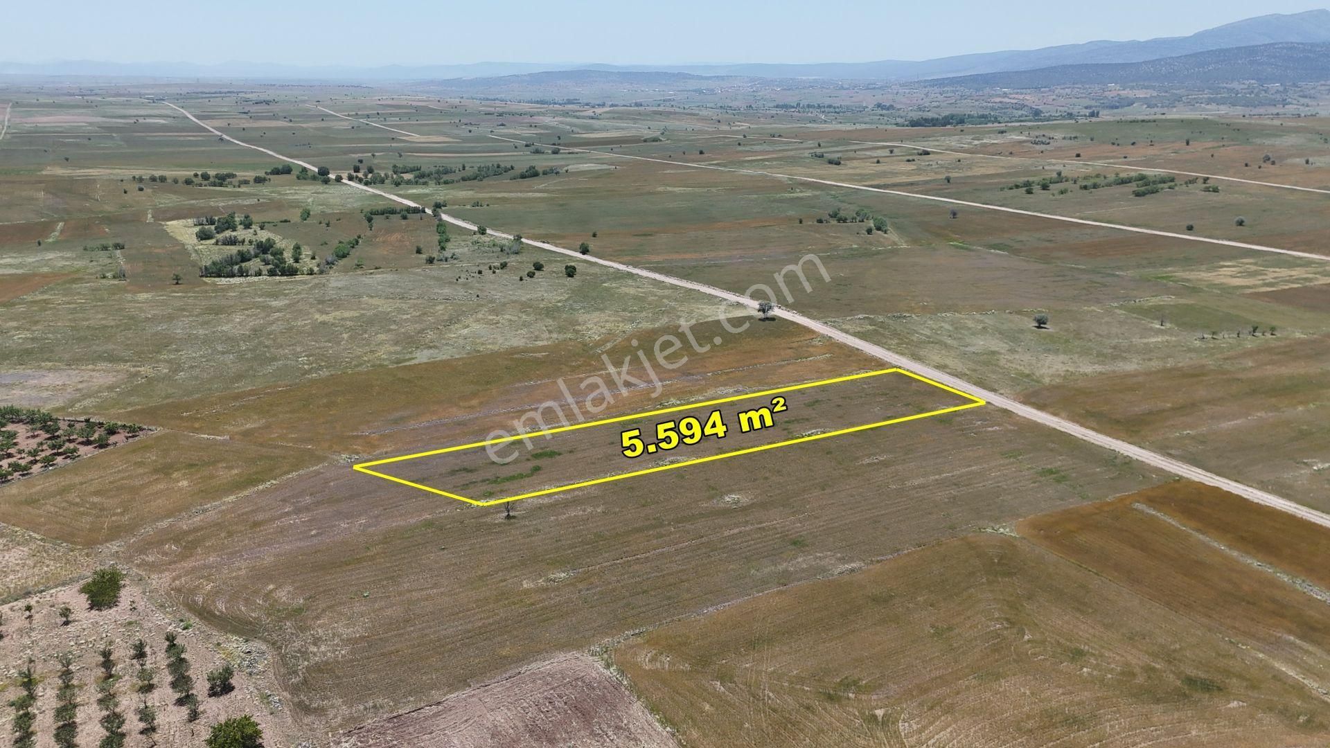 Konya / Akören / Tülce 5.594 M² Müstakil Tapulu Tarla