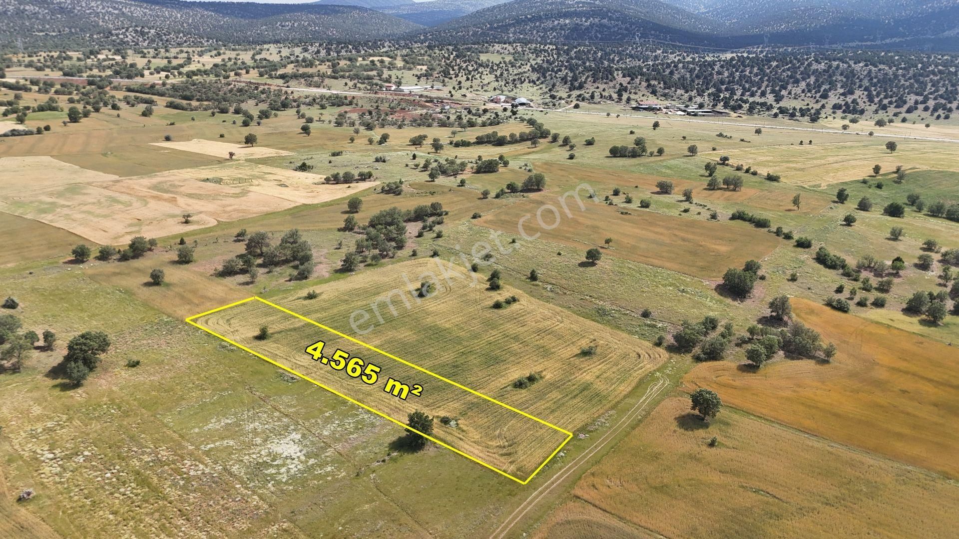 Konya / Akören / Tülce'de 4.565 M² Müstakil Tapulu Tarla