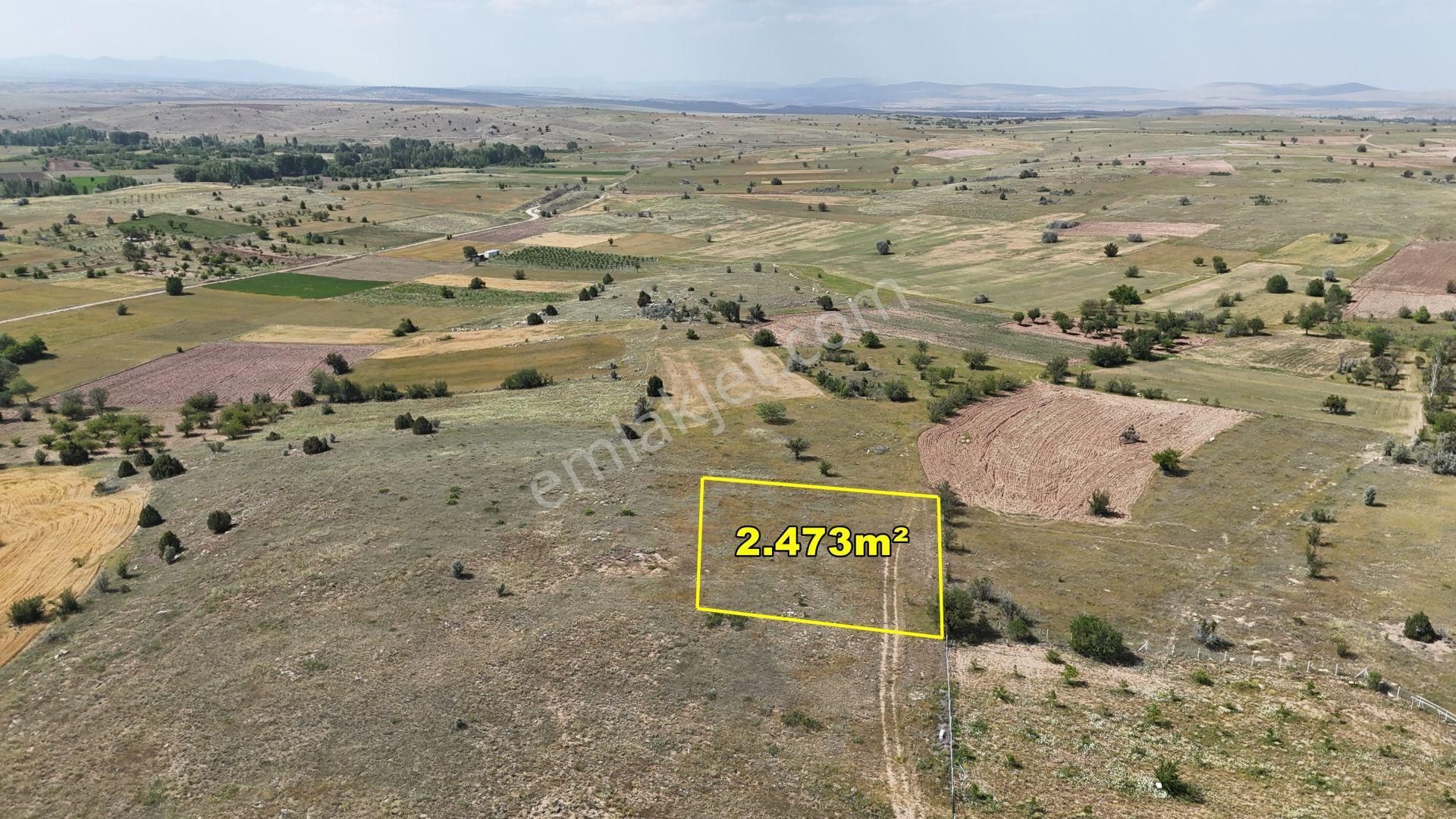 Konya / Akören / Tülce'de 2.473 M² Müstakil Tapulu Tarım Arazisi