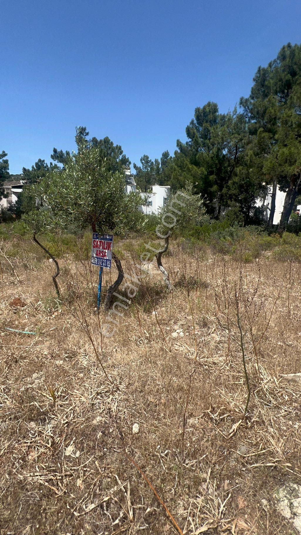 Muğla Milas Bozbük‘te Satılık 925 Metre Konut Artı Ticari Otel İmarlı Arsa - Görsel 15