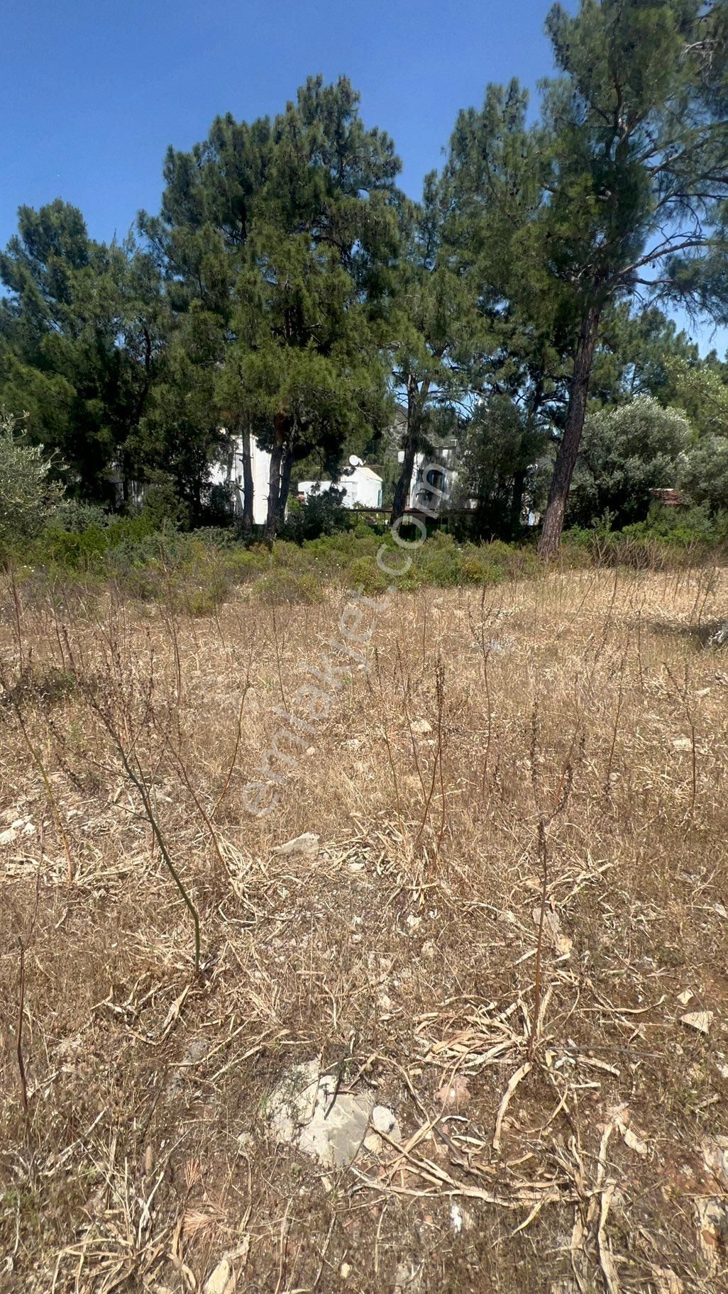 Muğla Milas Bozbük‘te Satılık 925 Metre Konut Artı Ticari Otel İmarlı Arsa - Görsel 10