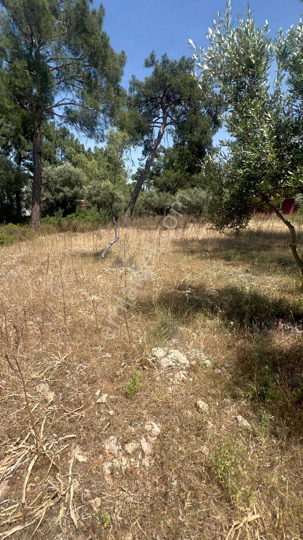 Muğla Milas Bozbük‘te Satılık 925 Metre Konut Artı Ticari Otel İmarlı Arsa - Görsel 7