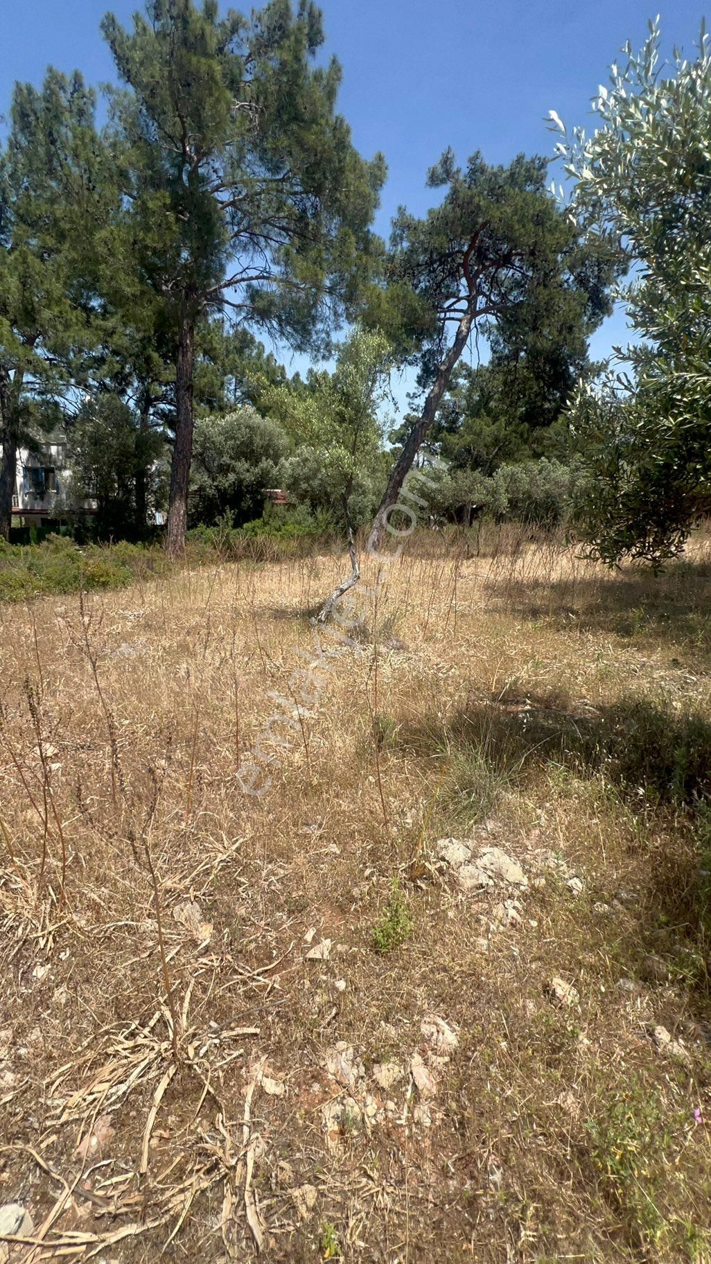 Muğla Milas Bozbük‘te Satılık 925 Metre Konut Artı Ticari Otel İmarlı Arsa - Görsel 11